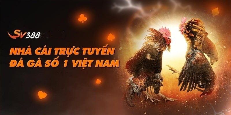 Giới thiệu SV388 với quá trình hình thành thương hiệu