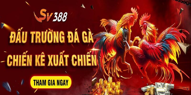 Hệ thống chuyên mục săn thưởng hấp dẫn tại SV388