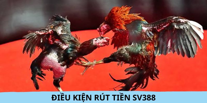 Những quy định cần đáp ứng khi rút tiền SV388