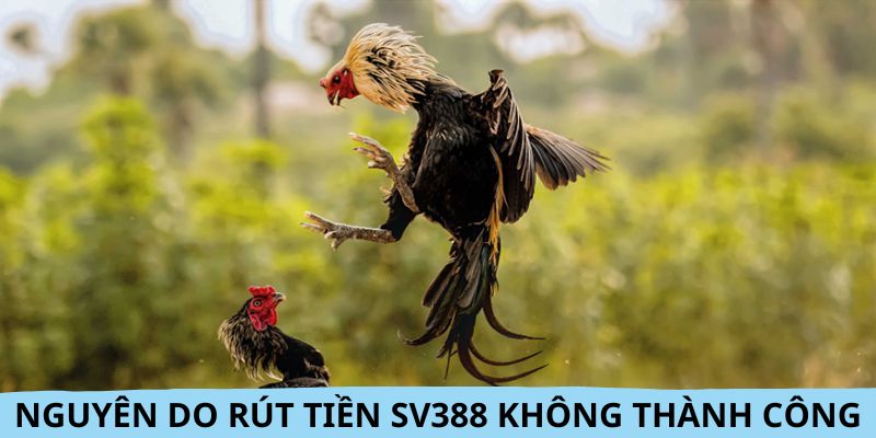 Lý do khiến cho việc nhận thưởng tại nhà cái không thành công