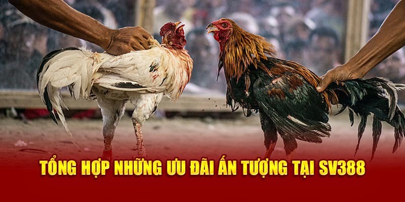 Tổng hợp khuyến mãi “nổi bật” đang có hiệu lực tại SV388