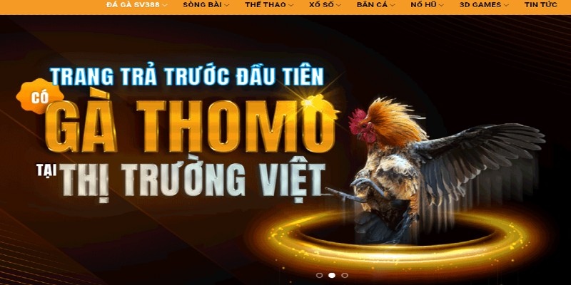 Tỷ lệ thưởng cạnh tranh, trả thưởng xanh chín